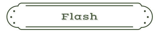 Flash Name Plate
